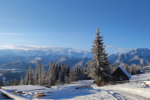 Apartmány SOSNA - Zakopane